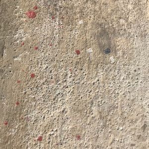 Meet your Posher, Tom